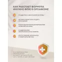 Иммуно Флю Эхинацея порошок №10 саше УБФ Уралбиофарм АО (Россия)