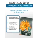 Inseense Присыпка детская с календулой 100г Фиторос ООО (Россия) - 5